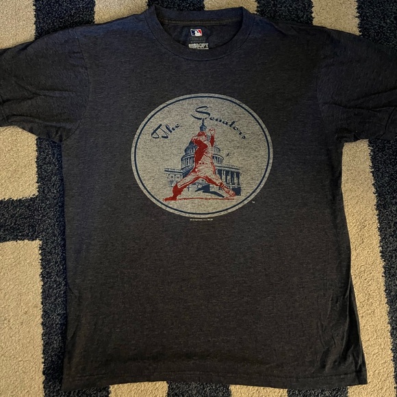 Washington Senators Nationals MLB Baseball Gray Capitol T Shirt Soft Size Medium - Picture 1 of 4